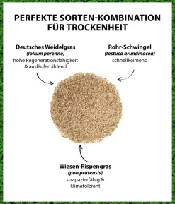 Dehner Saatgut Trockenrasen