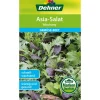 Dehner Samen Asia-Salat 'Mischung'