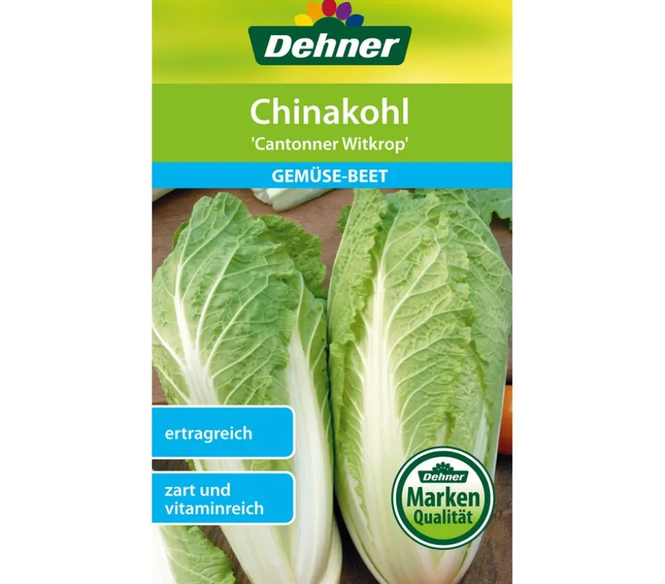 Dehner Samen Chinakohl 'Cantonner Witkrop'