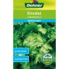 Dehner Samen Eissalat 'Laibacher Eis 3'