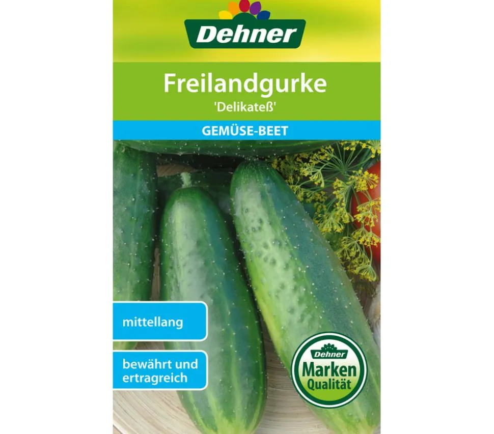 Dehner Samen Freilandgurke 'Delikateß'