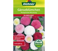 Dehner Samen Gänseblümchen 'Pomponette Mischung'