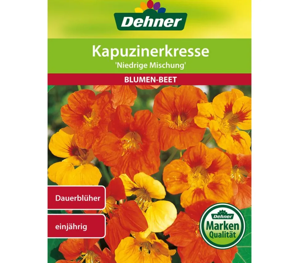 Dehner Samen Kapuzinerkresse 'Niedrige Mischung'