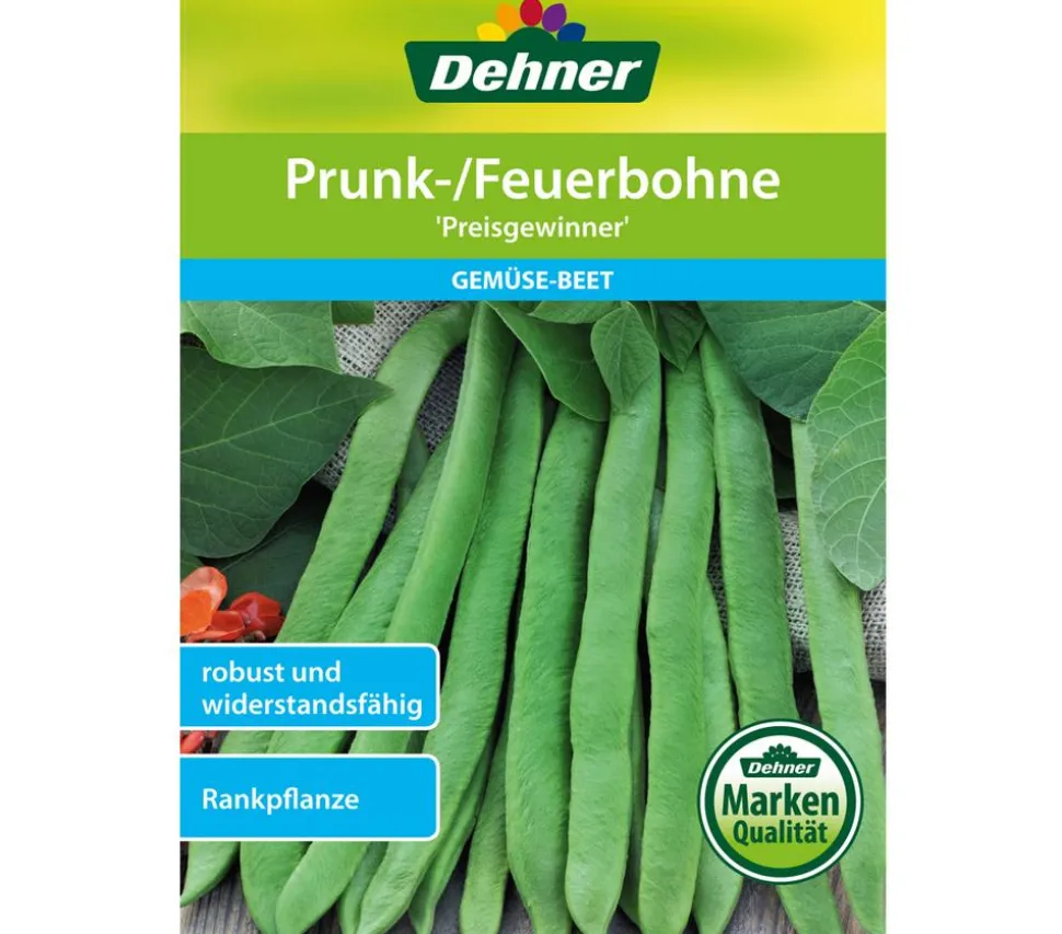 Dehner Samen Prunk-/Feuerbohne 'Preisgewinner'
