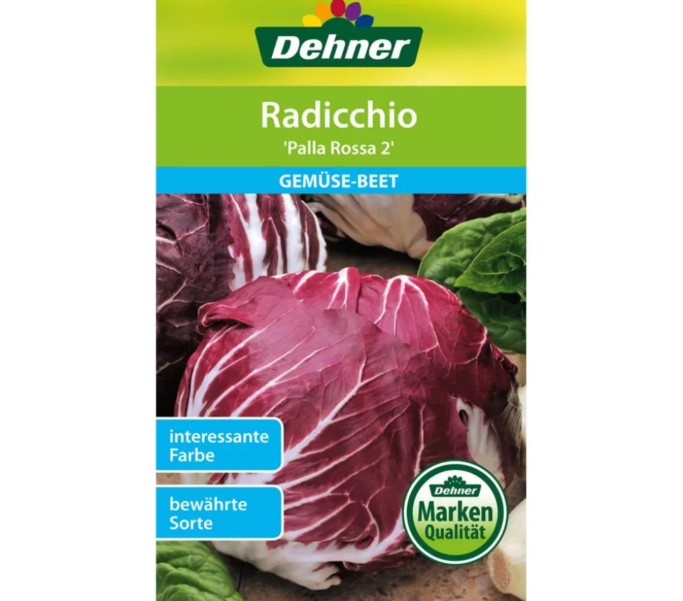 Dehner Samen Radicchio 'Palla Rossa 2'