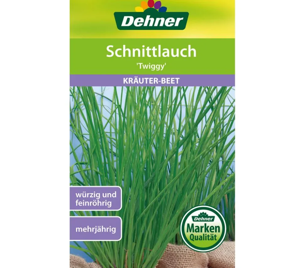 Dehner Samen Schnittlauch 'Twiggy'