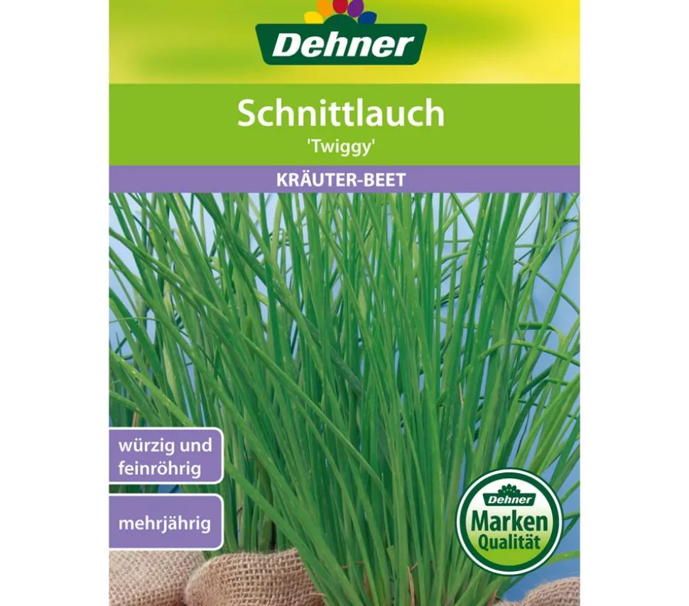 Dehner Samen Schnittlauch 'Twiggy'