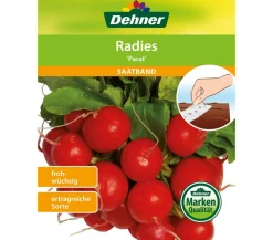 Dehner Samen-Set Easy Going