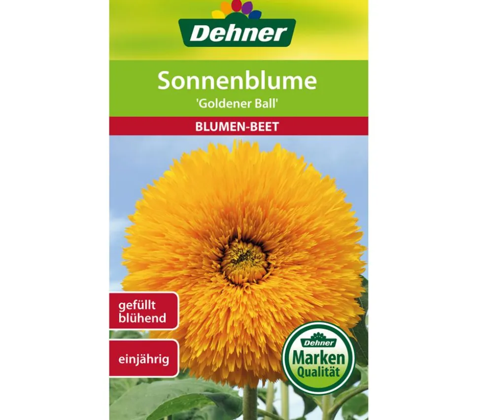 Dehner Samen Sonnenblume 'Goldener Ball'