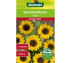 Dehner Samen Sonnenblume 'Soraya'