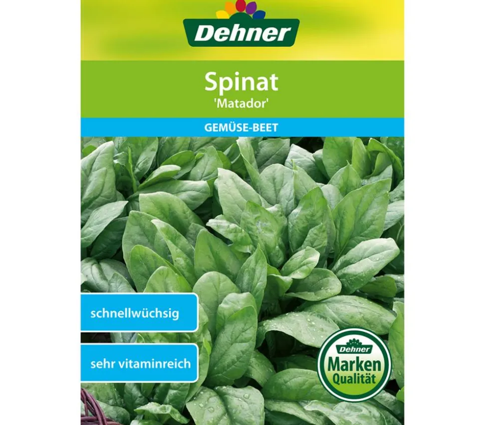 Dehner Samen Spinat 'Matador'
