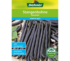 Dehner Samen Stangenbohne 'Blauhilde'