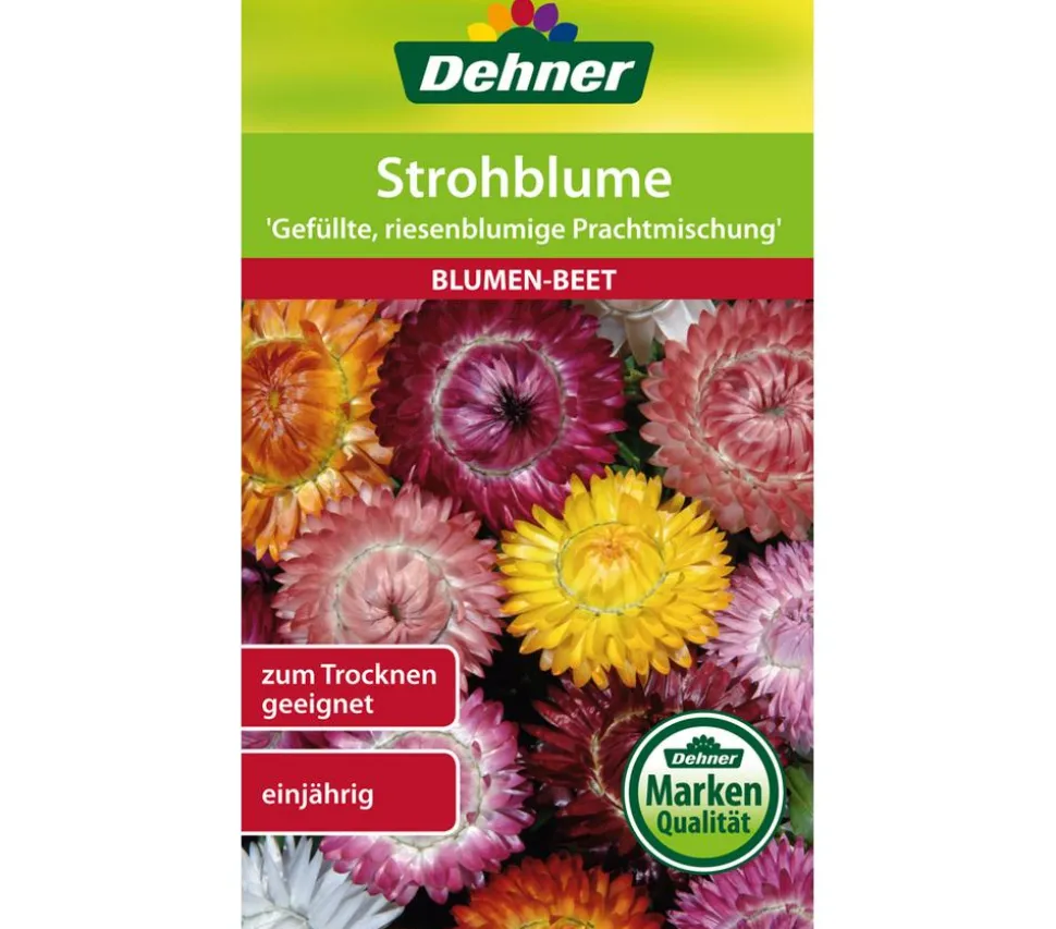 Dehner Samen Strohblume 'Gefüllte, riesenblumige Prachtmischung'