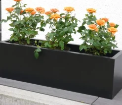 Eastwest Fiberglas-Blumenkasten Supremo, rechteckig