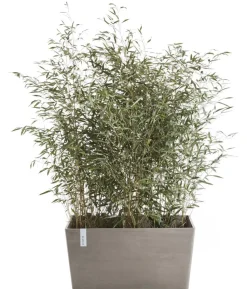 Ecopots Kunststoff-Kasten Paris, rechteckig