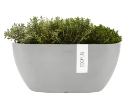 Ecopots Kunststoff-Schale Sofia mit Wassersystem, oval