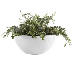 Ecopots Kunststoff-Topf Brussels, rund