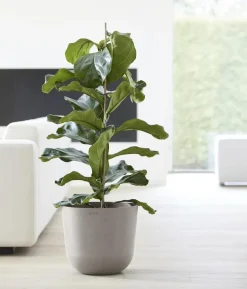 Ecopots Kunststoff-Topf Oslo mit Wassersystem, rund