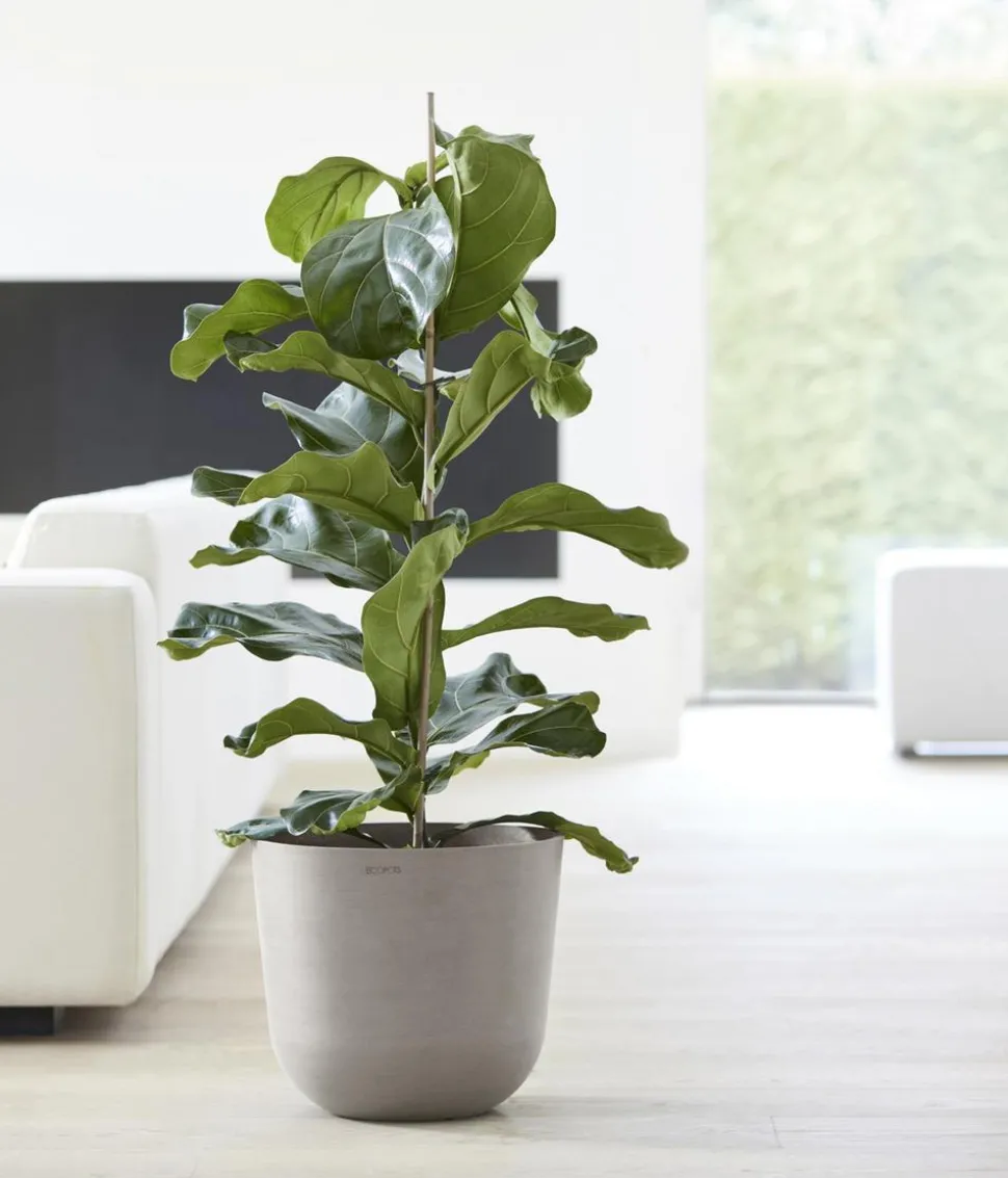 Ecopots Kunststoff-Topf Oslo mit Wassersystem, rund