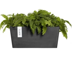 Ecopots Kunststoff-Kasten Manhattan Wall mit Wassersystem, rechteckig