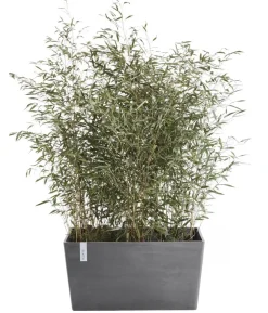 Ecopots Kunststoff-Kasten Paris, rechteckig