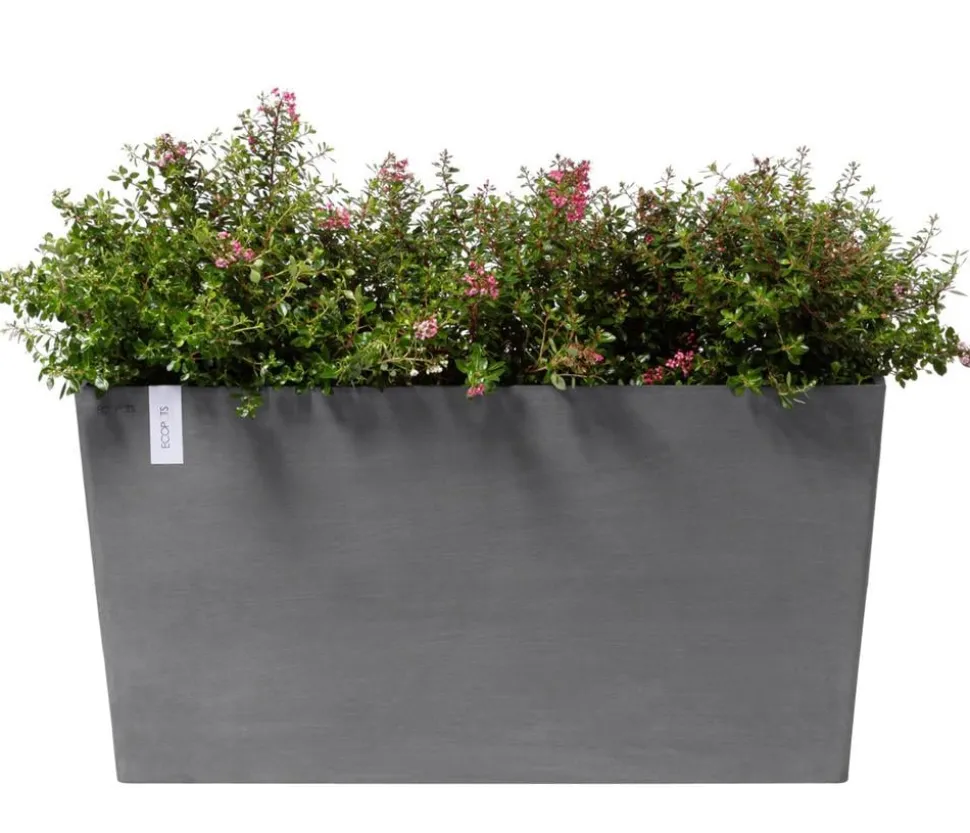 Ecopots Kunststoff-Kasten Paris mit Rollen, rechteckig