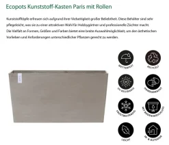 Ecopots Kunststoff-Kasten Paris mit Rollen, rechteckig