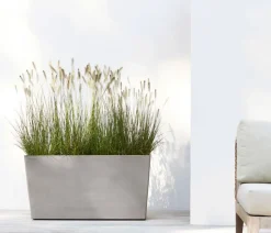 Ecopots Kunststoff-Kasten Paris mit Rollen, rechteckig