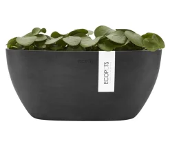 Ecopots Kunststoff-Schale Sofia mit Wassersystem, oval
