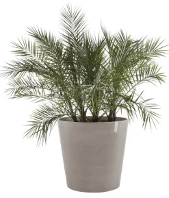 Ecopots Kunststoff-Topf Amsterdam mit Rollen, rund
