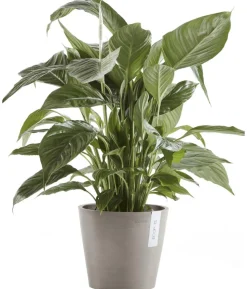 Ecopots Kunststoff-Topf Amsterdam, rund