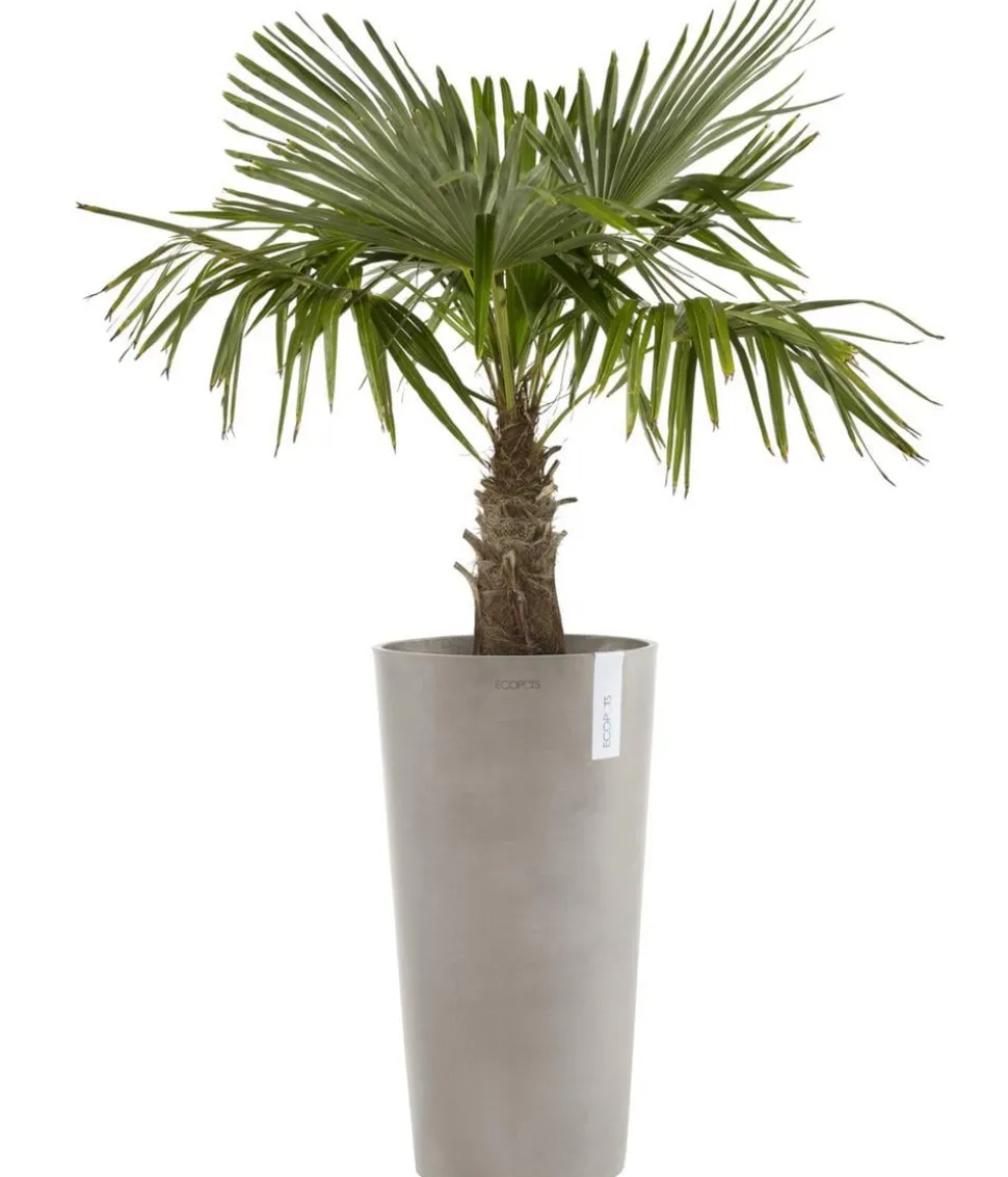 Ecopots Kunststoff-Topf Amsterdam hoch, rund