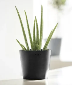 Ecopots Kunststoff-Topf Amsterdam Mini, rund, ca. Ø17/H14,7 cm