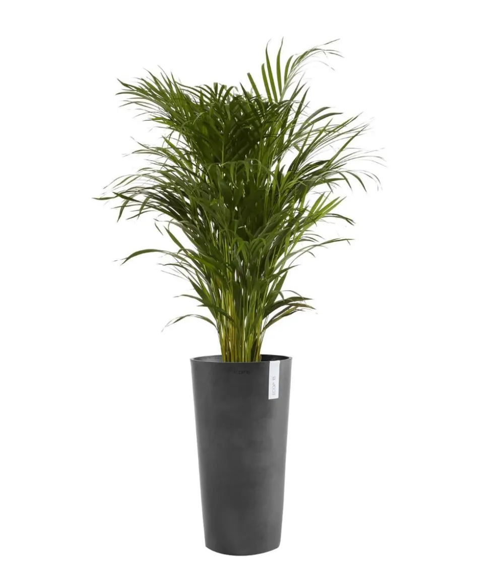 Ecopots Kunststoff-Topf Amsterdam hoch, rund