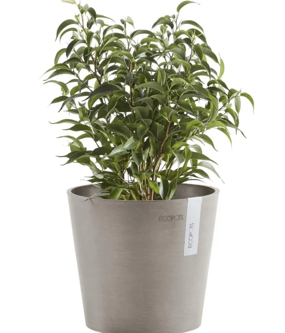 Ecopots Kunststoff-Topf Amsterdam Mini, rund, ca. Ø17/H14,7 cm