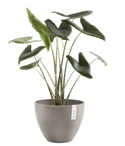 Ecopots Kunststoff-Topf Antwerp, rund