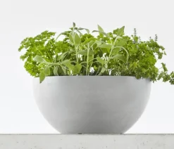 Ecopots Kunststoff-Topf Brussels, rund