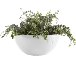 Ecopots Kunststoff-Topf Brussels, rund