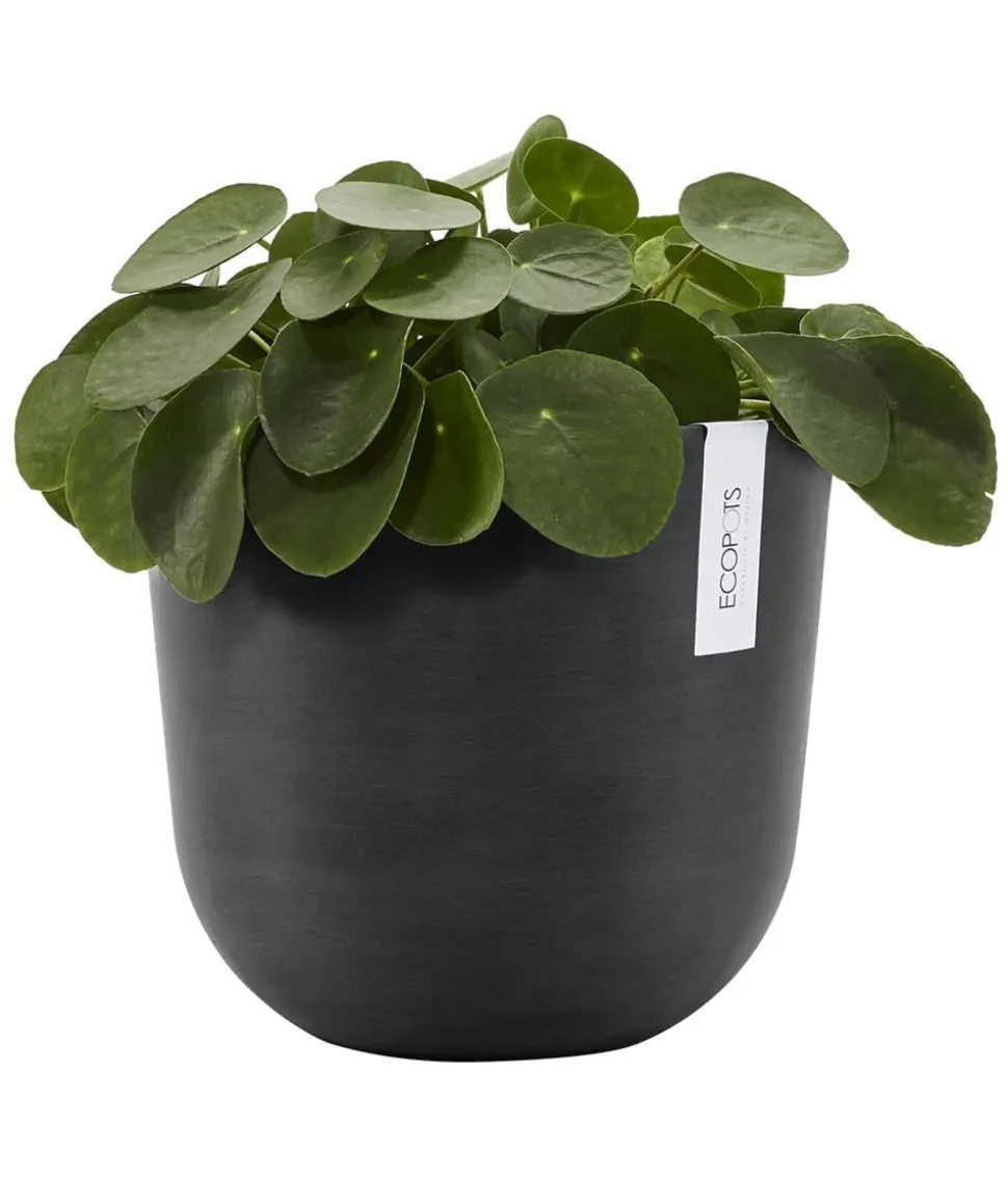Ecopots Kunststoff-Topf Oslo mit Wassersystem, rund
