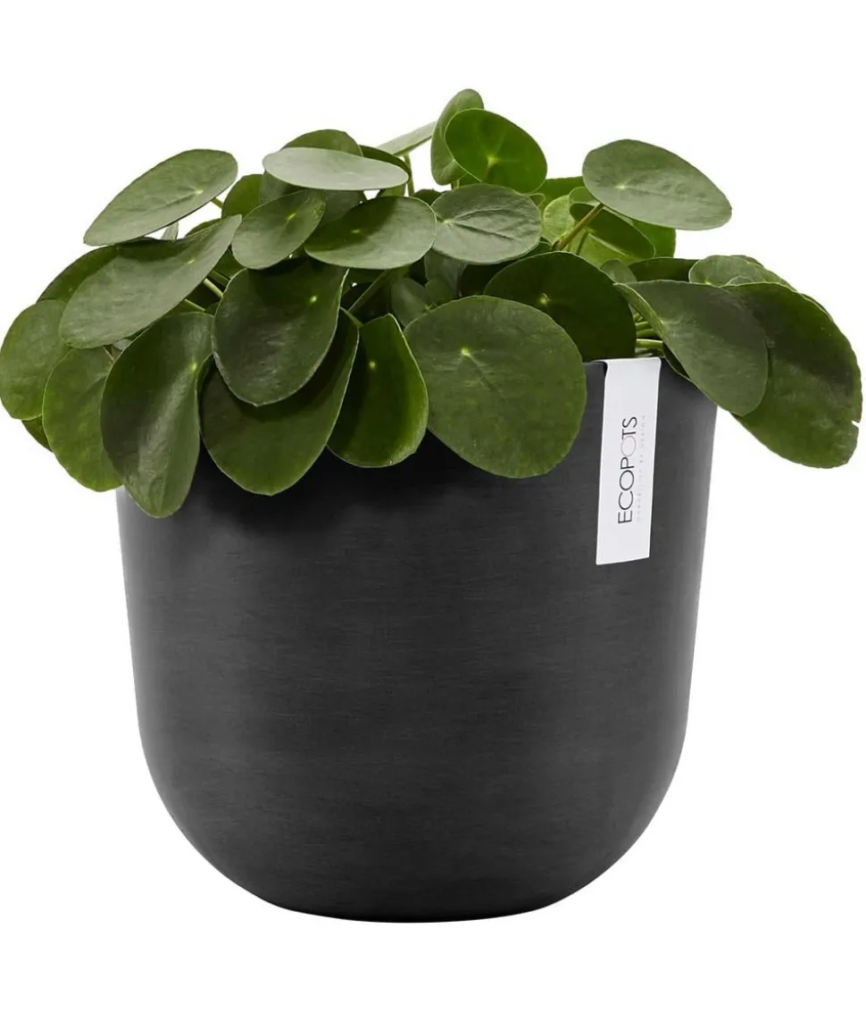 Ecopots Kunststoff-Topf Oslo, rund