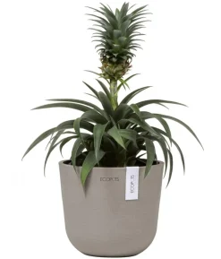 Ecopots Kunststoff-Topf Oslo Mini, rund