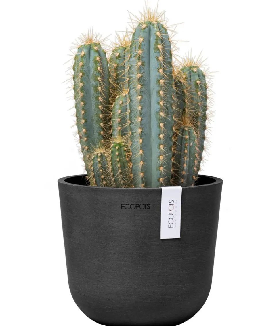 Ecopots Kunststoff-Topf Oslo Mini, rund
