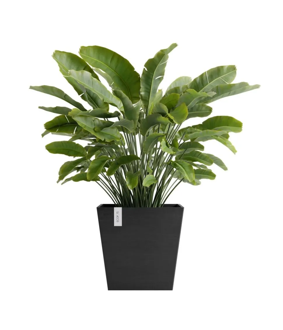 Ecopots Kunststoff-Topf Rotterdam mit Wassersystem, quadratisch