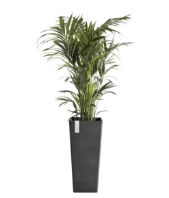 Ecopots Kunststoff-Topf Rotterdam Hoch, quadratisch