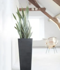 Ecopots Kunststoff-Topf Rotterdam Hoch, quadratisch