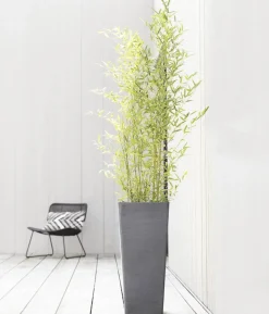 Ecopots Kunststoff-Topf Rotterdam Hoch, quadratisch