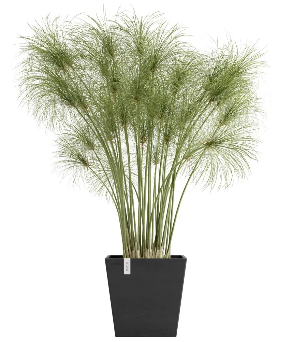 Ecopots Kunststoff-Topf Rotterdam mit Wassersystem, quadratisch