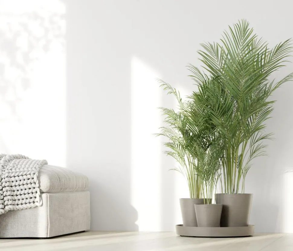 Ecopots Kunststoff-Topf-Set Dubai mit Untersetzer, 4-teilig