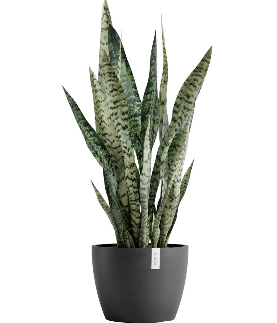 Ecopots Kunststoff-Topf Stockholm, rund