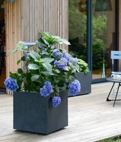 EDA Kunststoff-Pflanztopf Basalt Up, quadratisch, anthrazit